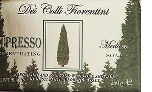 Luonnonsaippua Nesti Dante Dei Colli Fiorentini Cipresso Regenerating 250 g
