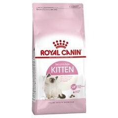 Kissanpennujen Royal Canin Kitten 2 kg