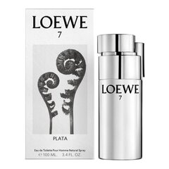 Loewe Loewe 7 Plata Pour Homme EDT miehelle 100 ml