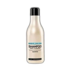 Stapiz Basic Salon Deep Cleaning shampoo 1000 ml