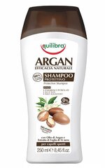 Equilibra Argan -suojaava shampoo, 250 ml