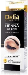 Delia Cosmetics Henna Cream kulma- ja ripsiväri 15 ml, 1.0 Musta